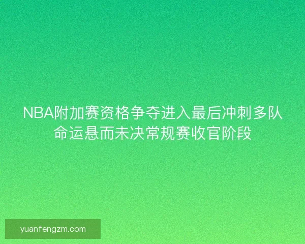 NBA附加赛资格争夺进入最后冲刺多队命运悬而未决常规赛收官阶段