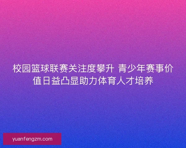 校园篮球联赛关注度攀升 青少年赛事价值日益凸显助力体育人才培养